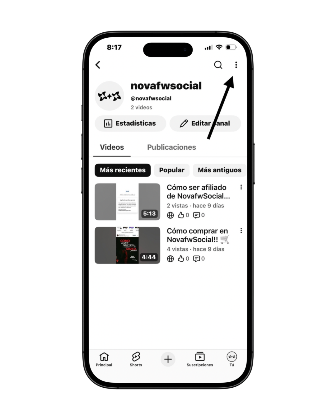 Seguidores YouTube