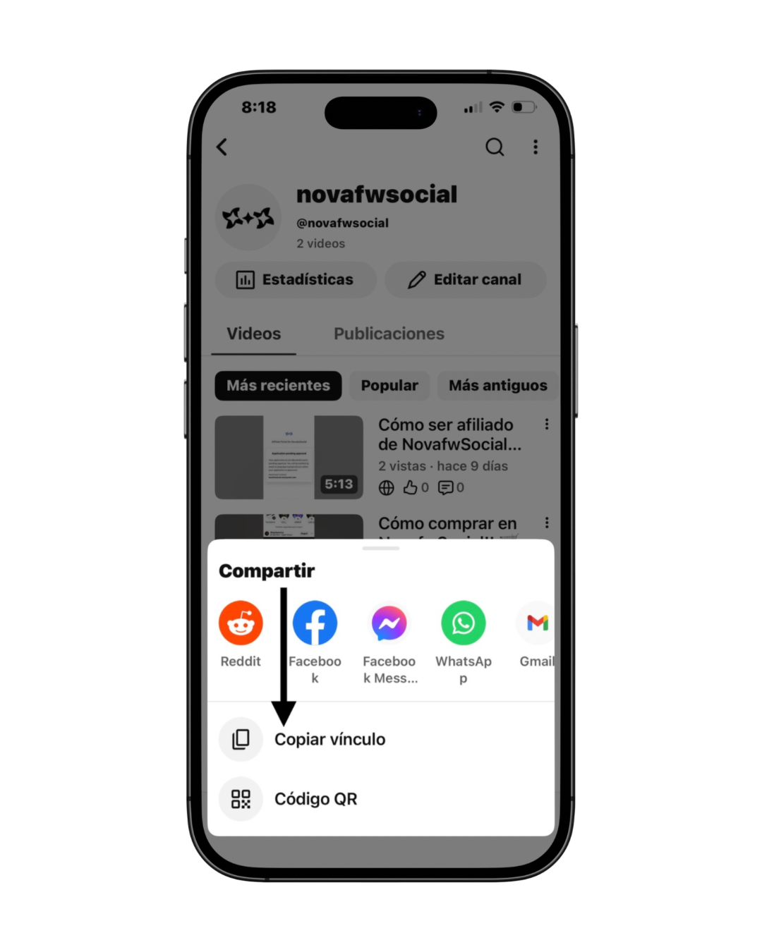 Seguidores YouTube